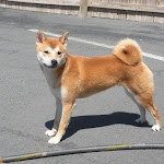 DSCN5070.jpg