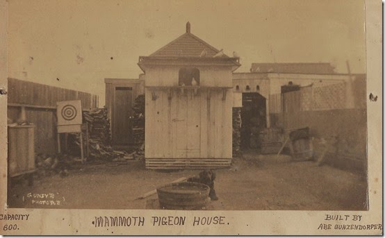 Mammoth Pigeon House Mammoth Pigeon House