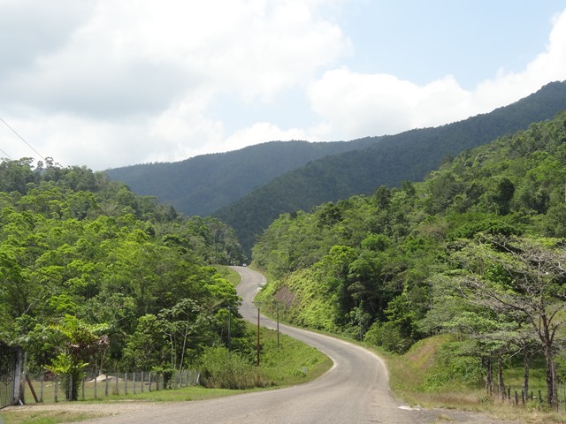 DSC03524 DSC03524