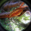 Stinson Hike 022.JPG
