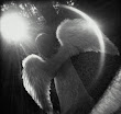 Angel Light In The Dark