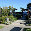 Mendocino, CA 30
