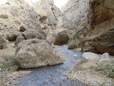 DSCN4001.jpg