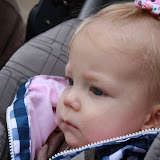 Ashland County Fair 2010