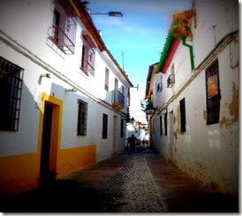 P1080379 P1080379