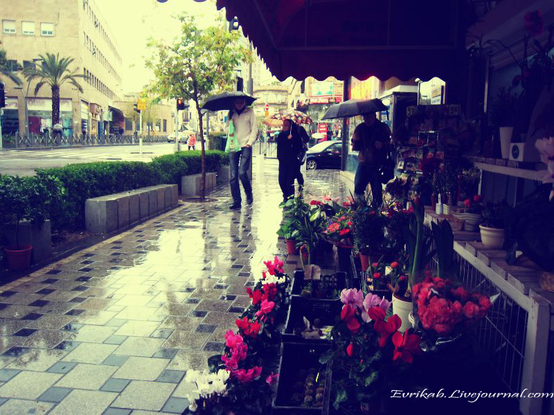 ЗИМНЯЯ ХАЙФА