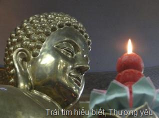 [hoa%2520sen%2520vi%2520tieu%255B8%255D.jpg]