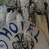 Welcome Gallery