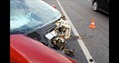 Accident-CSP-R8 Accident-CSP-R8