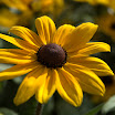 DSC_5700.jpg
