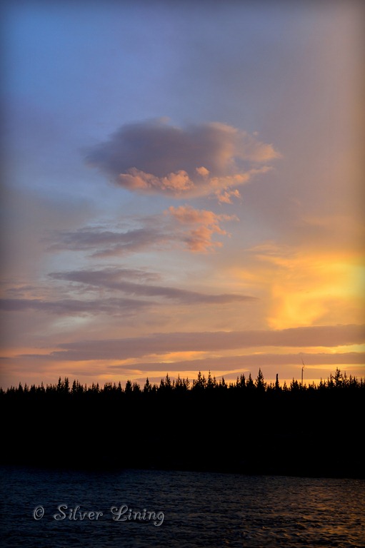 [DSC_0534a%255B13%255D.jpg]