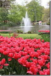 Amsterdam 107 Amsterdam 107