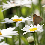 photoIMG_1094.jpg