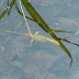P1120525