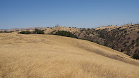 DSC02955.jpg