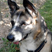 Bandit_Blick_5.jpg