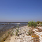 IMG_5667.JPG