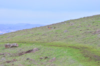 HBR_2012Dec28_006.jpg