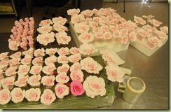 pinkroses12 pinkroses12