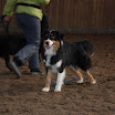 jan-feb 2010 113.JPG