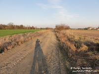 dsc07418.jpg