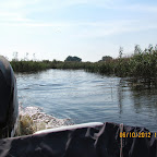 IMG_7986.JPG