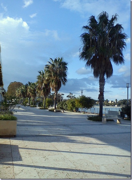 DSC00135 DSC00135