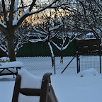 DSC_2405.jpg