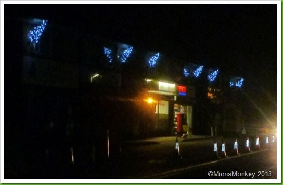 Street Christmas Trees