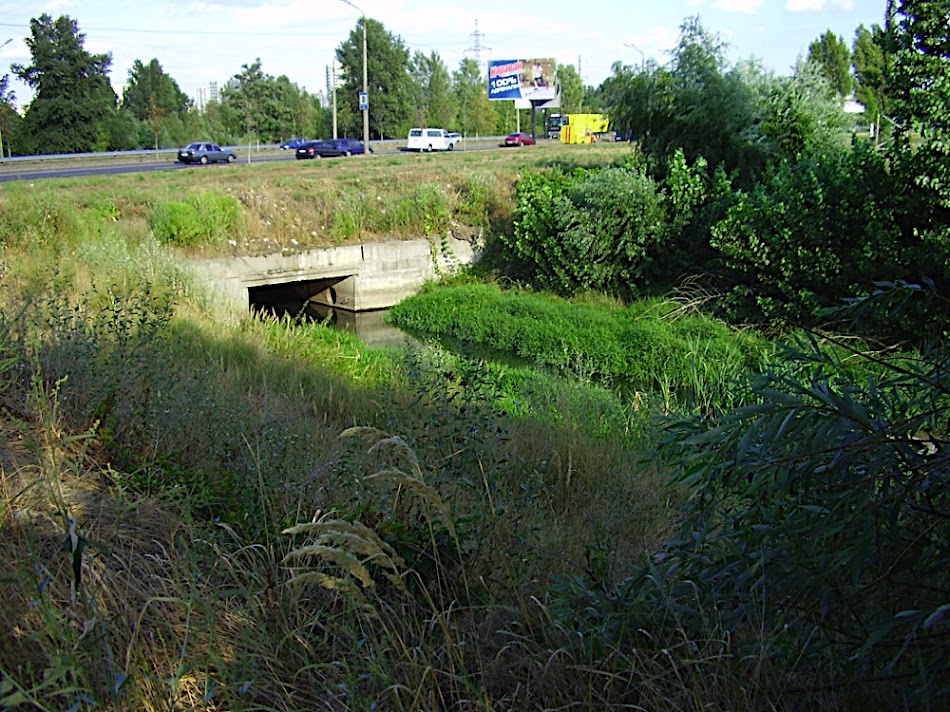 P8260339.JPG