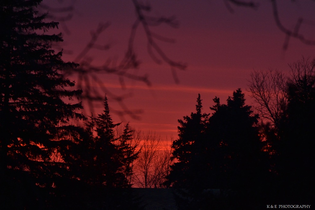 [DSC_6680%255B3%255D.jpg]