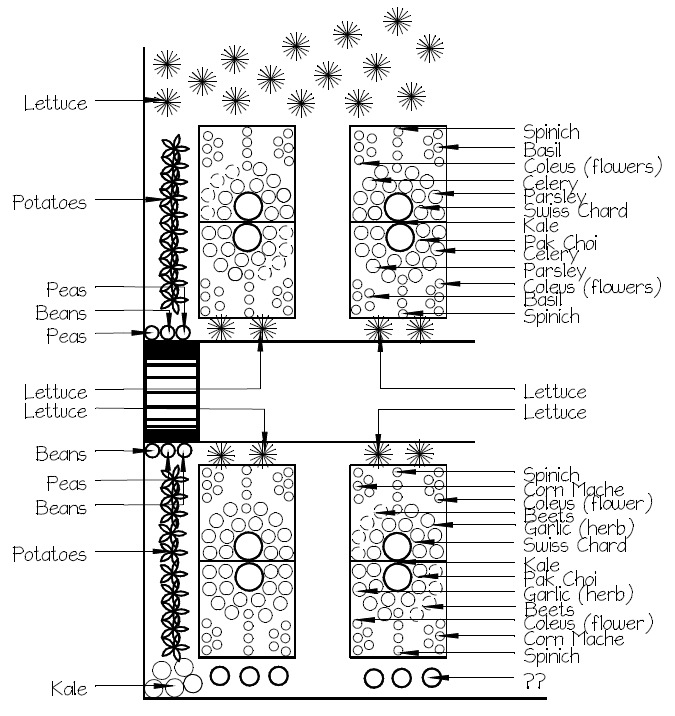 [Back%2520Shade%2520Design%255B5%255D.jpg]