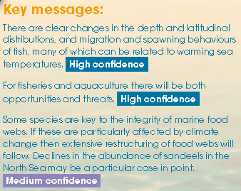 Key messages from the Marine Climate Change Impacts Partnership (MCCIP) Report Card for May 2012. There are clear changes in the depth and latitudinal distributions, and migration and spawning behaviours of fish, many of which can be related to warming sea temperatures. mccip.org.uk
