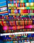 La diversidad del Ecuador