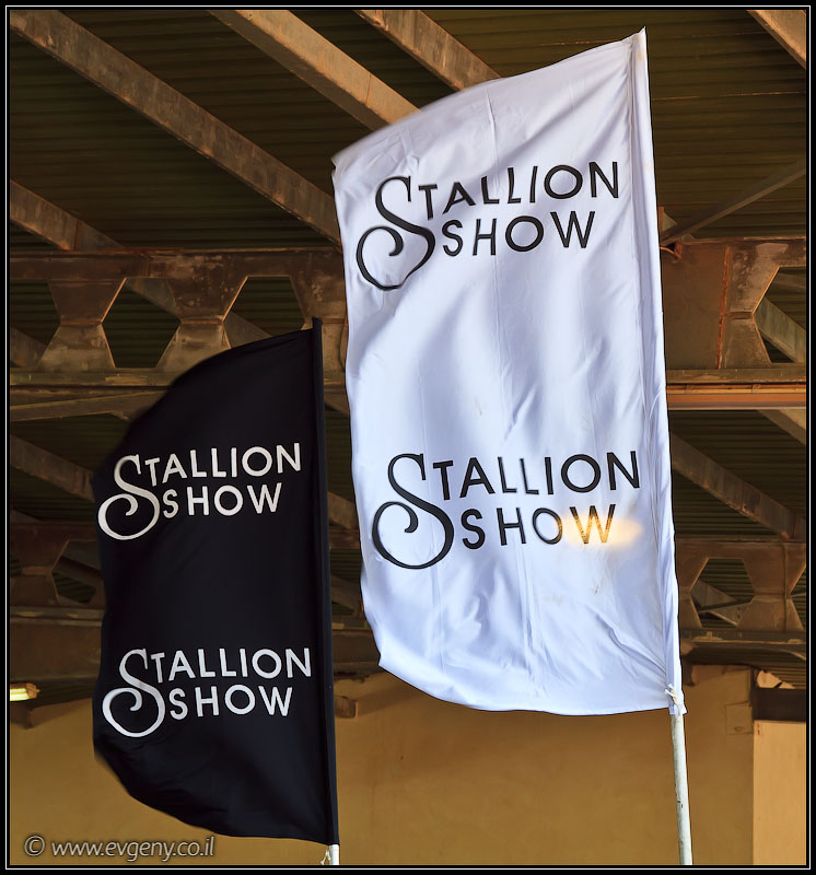 il/Фото: Stallion Show 2011 (20110416 stllion show 006 1978)
