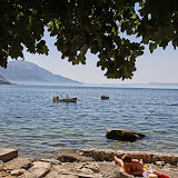 IMG_4194.JPG