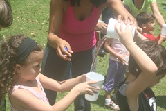 IMG_5185 IMG_5185