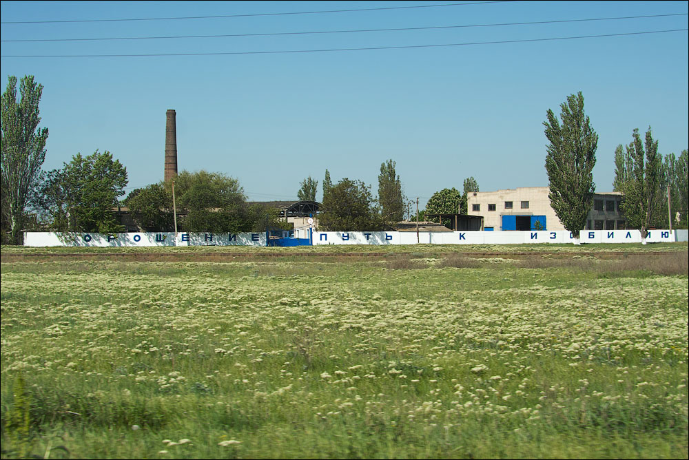IMG_2579_small.jpg
