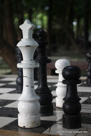 IMG_5524 IMG_5524
