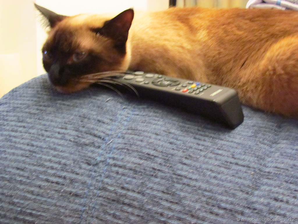 [IMG_4242%255B7%255D.jpg]