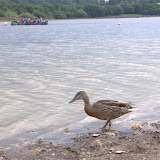 Blacklands 2011 - DSC_0096.jpg