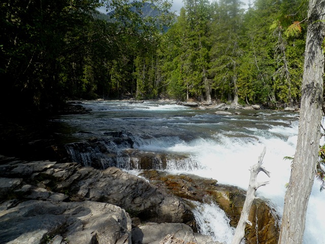 [P11602653.jpg]