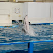 hokkaido_442.jpg