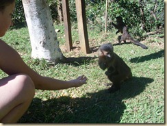 IMG_0424 IMG_0424