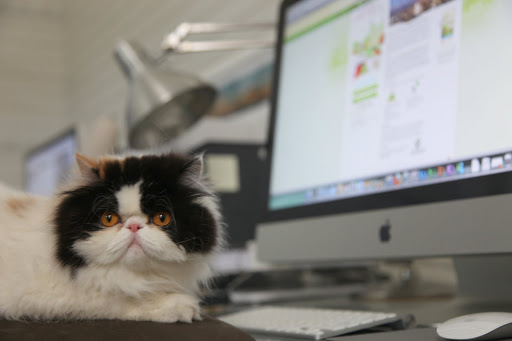 Have you heard about Purina's 