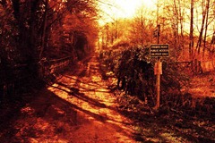 Farm-Lane-3---XPRO