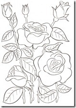 rosas