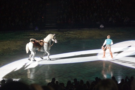 12.7.12 tangled maximus