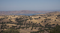 DSC02988.jpg