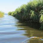 IMG_6256.JPG
